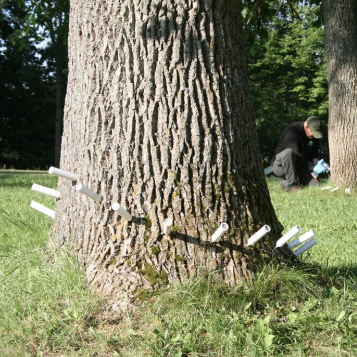 TreeAzin is used to combat harmful insects like Brown Tail Moth, Emerald Ash Borer, Spongy Moth and many other leaf eating pests.